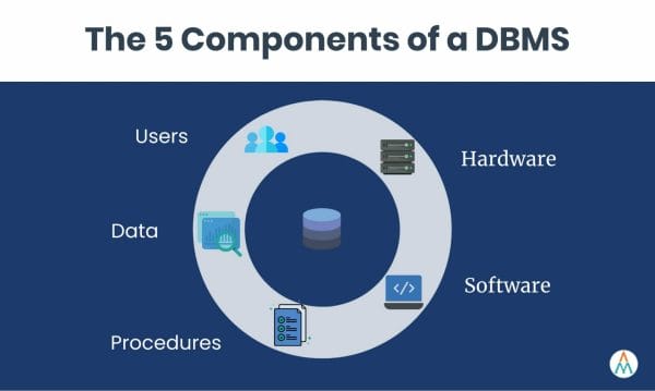 The 5 components of DBMS
